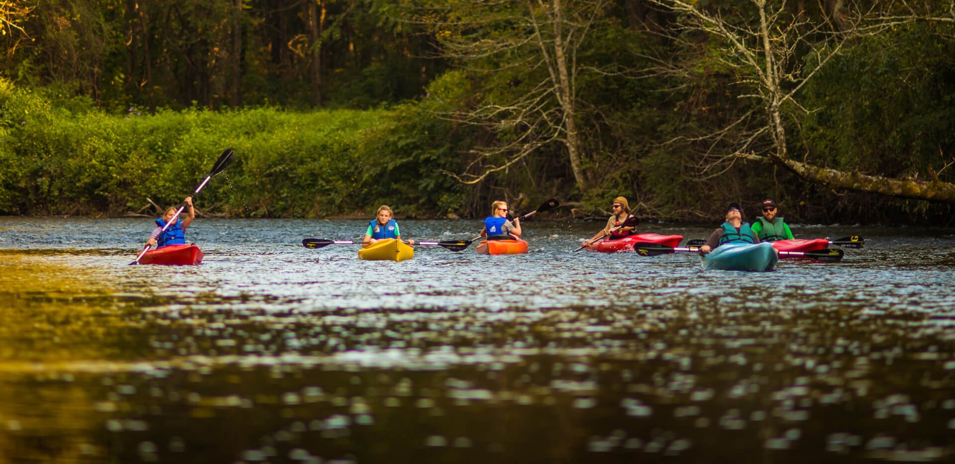 French Broad River kayaking French Broad River kayaking